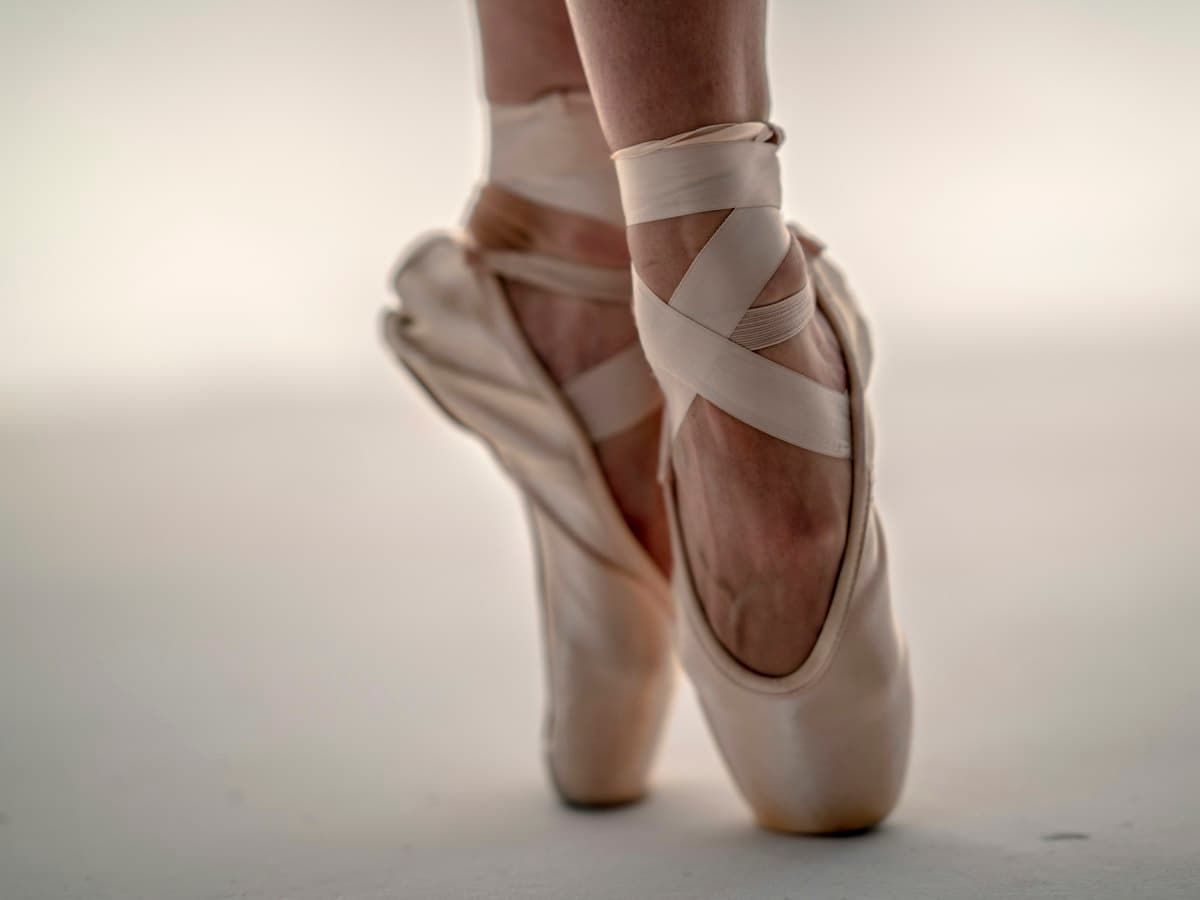 Sapatilha de Ballet Pau Brasil