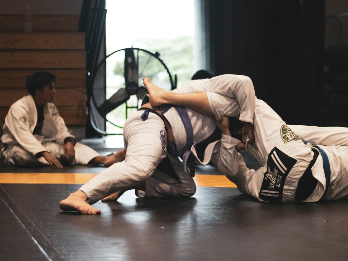 Jiu-Jitsu Iniciante